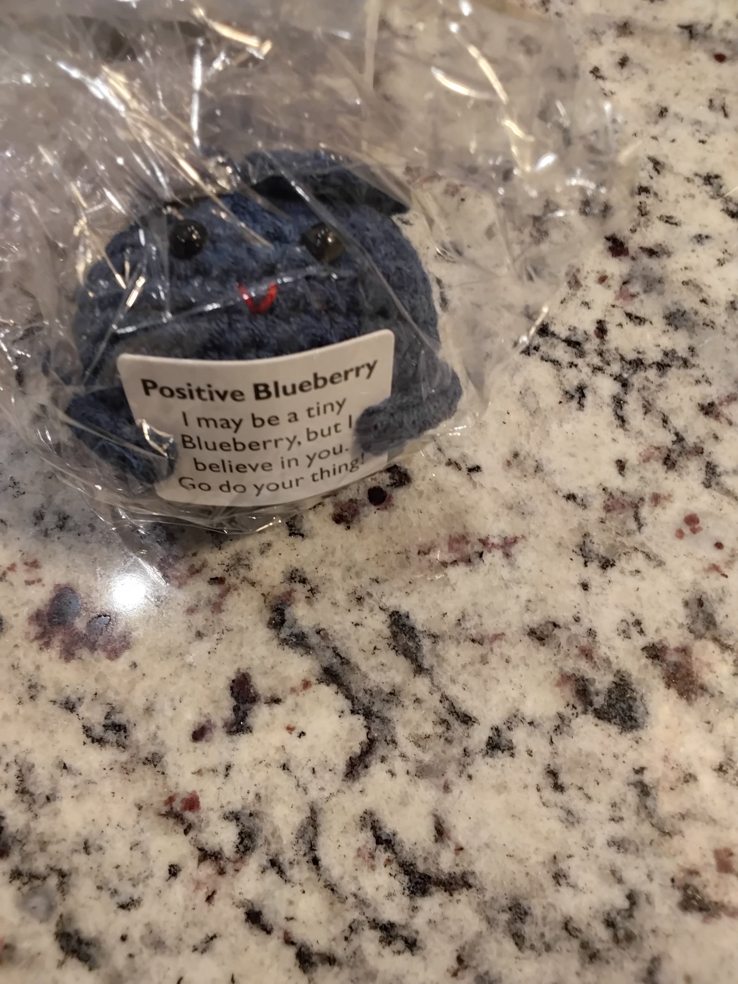 Positive Fruit - Blueberry Crochet